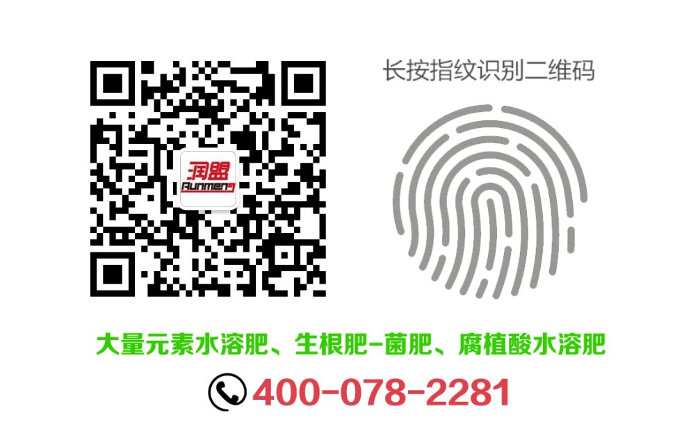 微信图片_20200407152859.jpg