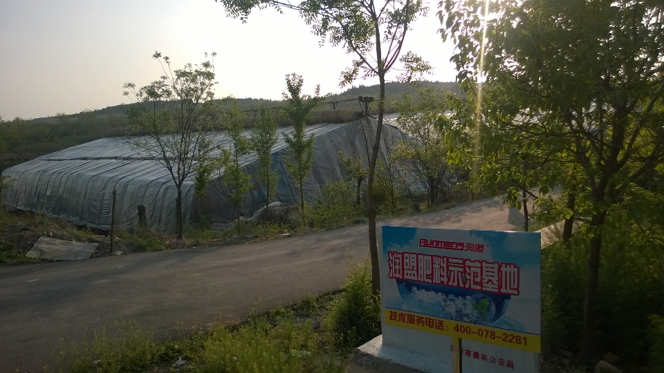 樱桃大棚