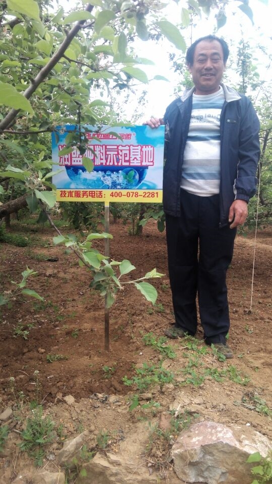 果园照片
