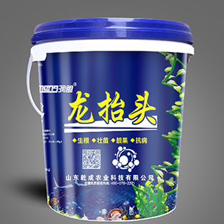 润盟-龙抬头