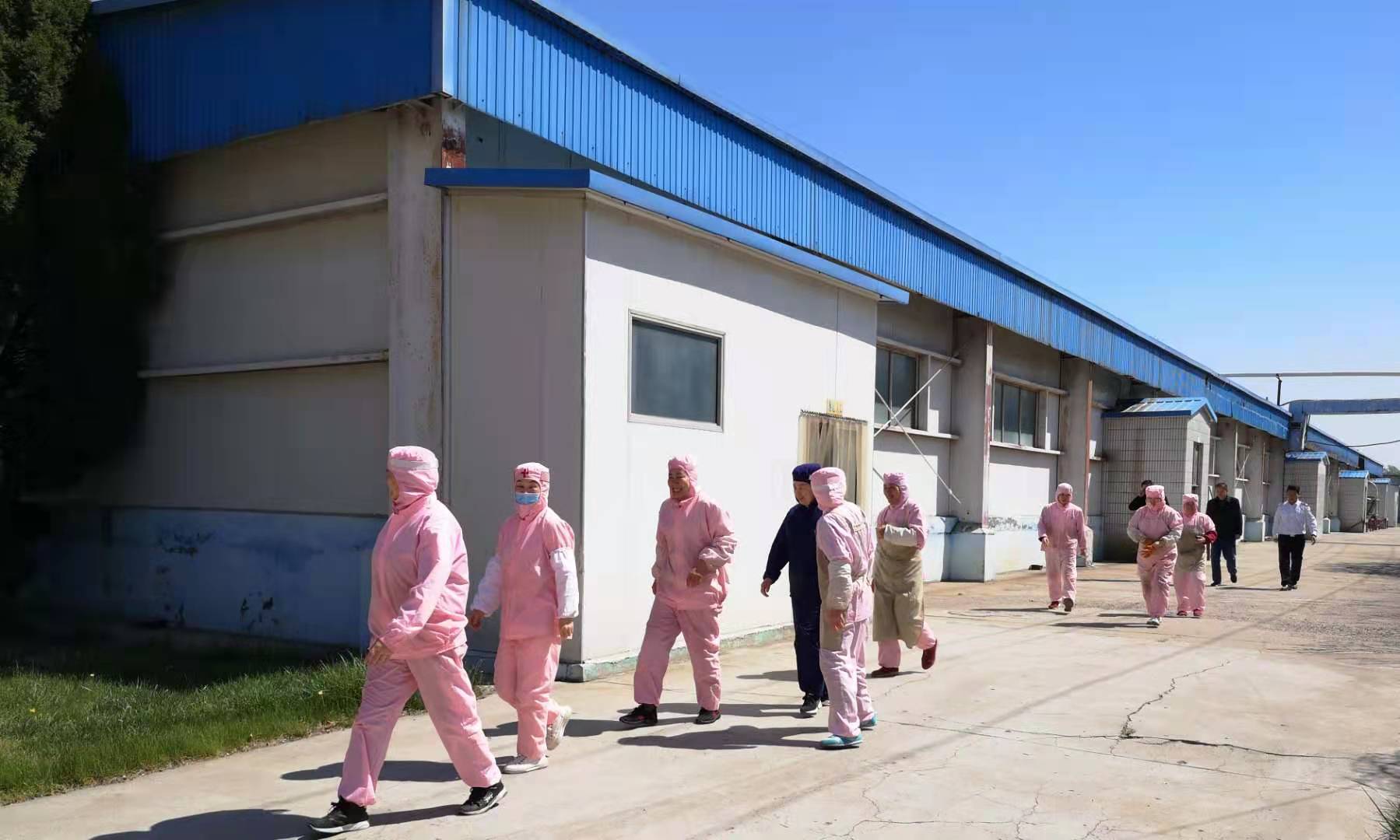 宠物车间演练.jpg