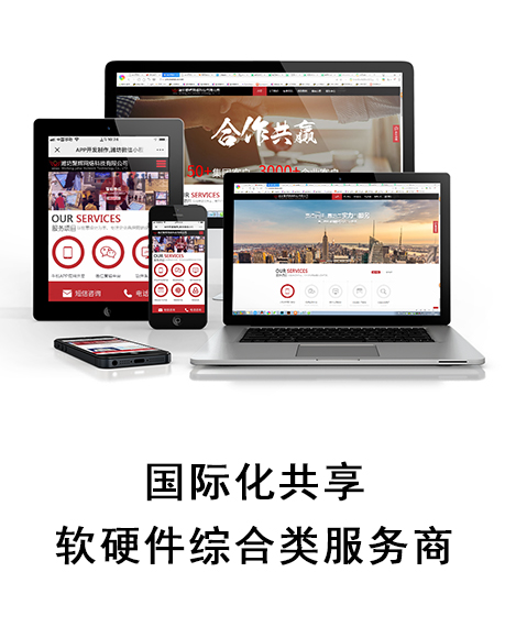 国际化共享软硬件服务商