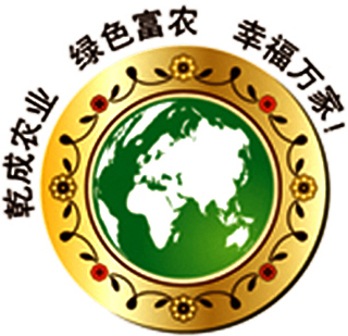 润盟龙抬头