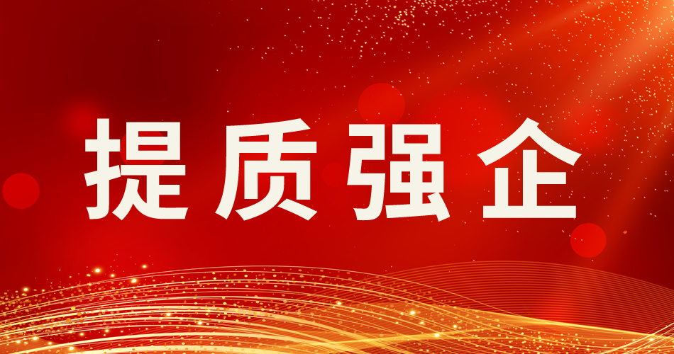 公司接受市场监管部门“提质强企”示范企业审核