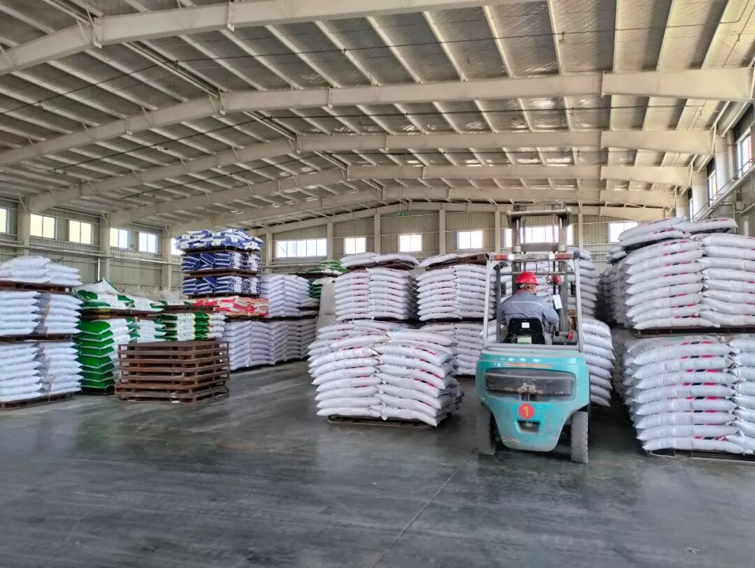 1763426227694018220.jpg 3.jpg