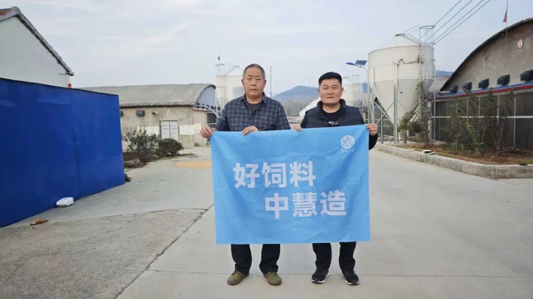 1763426267746008014.jpg 4.jpg