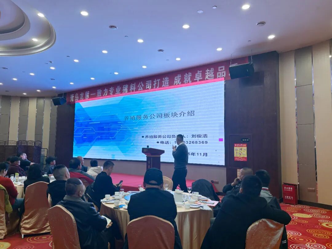 1765263802981061247.jpg 2.jpg