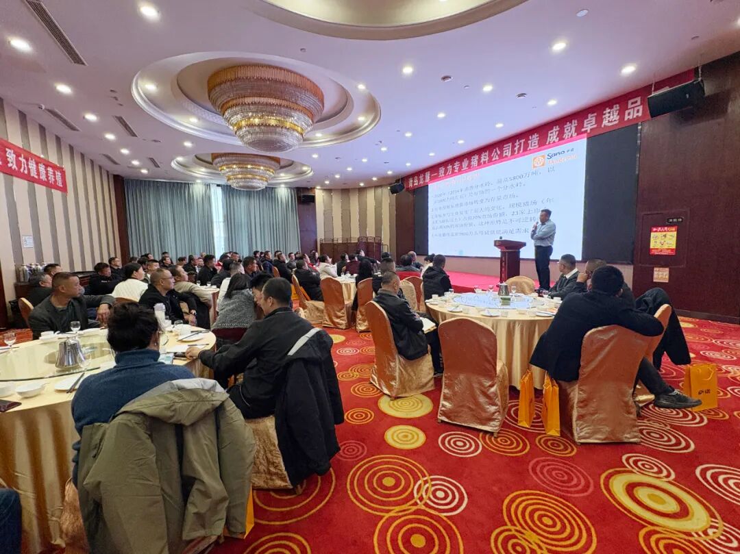 1765263825173050589.jpg 4.jpg