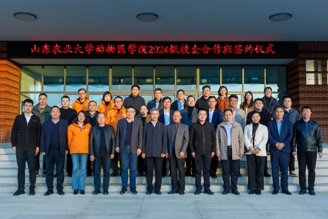 1765264008010027344.jpg 13.jpg