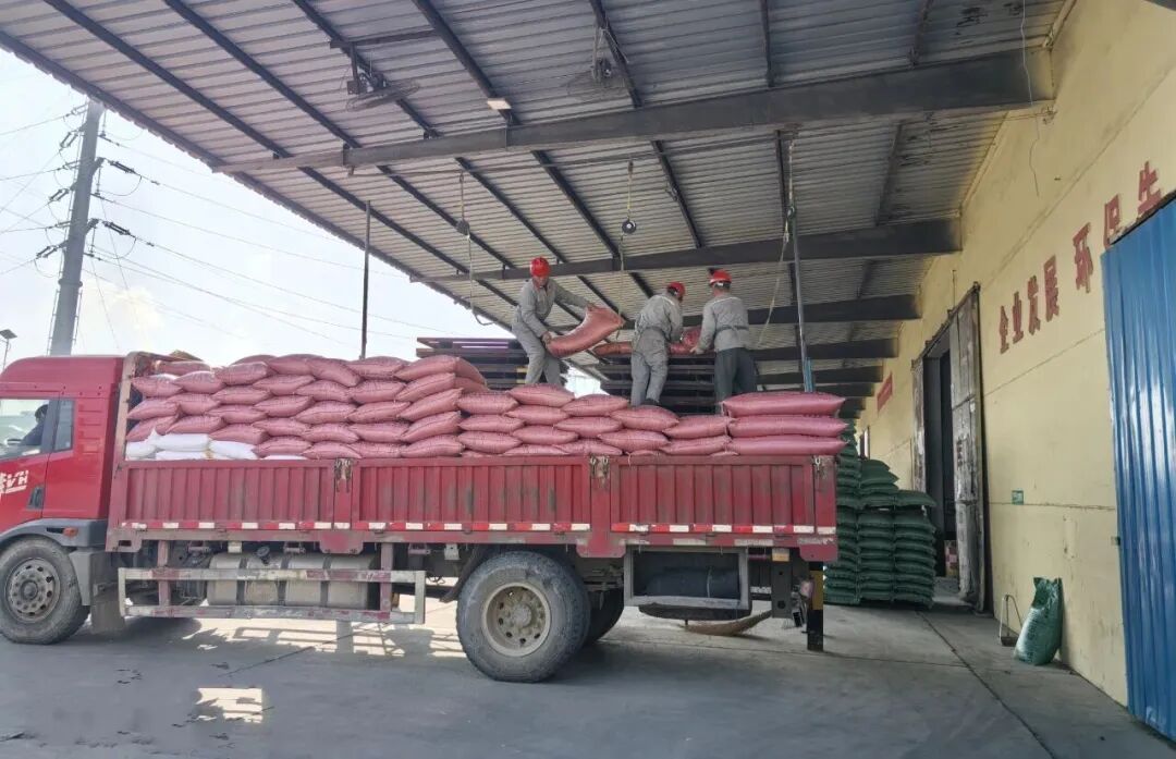 1765265405771041814.jpg 1.jpg