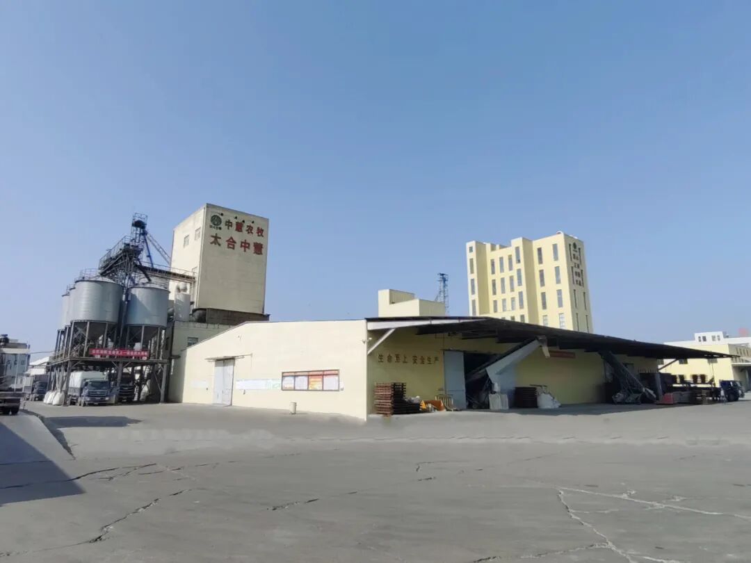 1765265924387056968.jpg 23.jpg