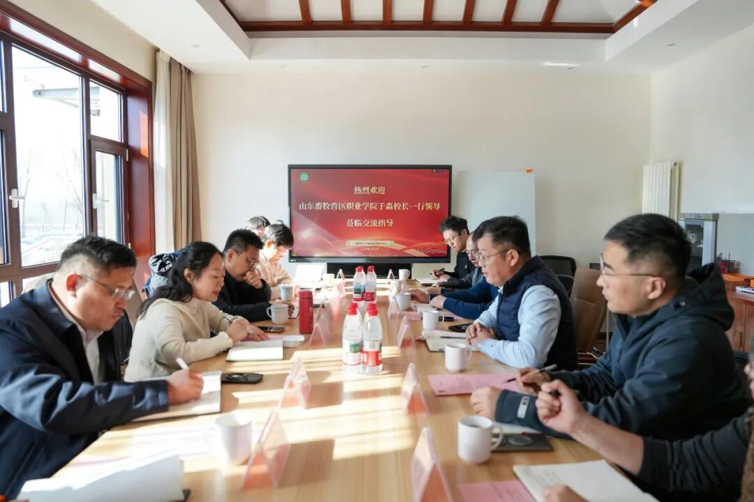 1769136506449001699.jpg 68.jpg