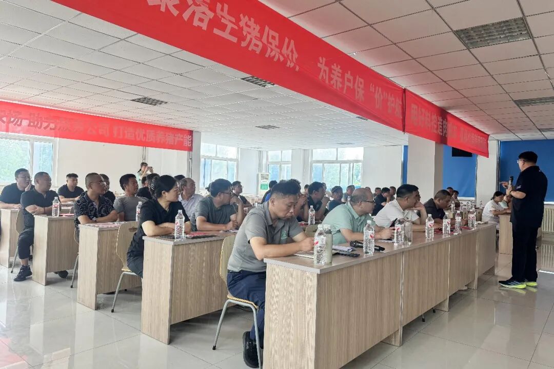 图片8.jpg