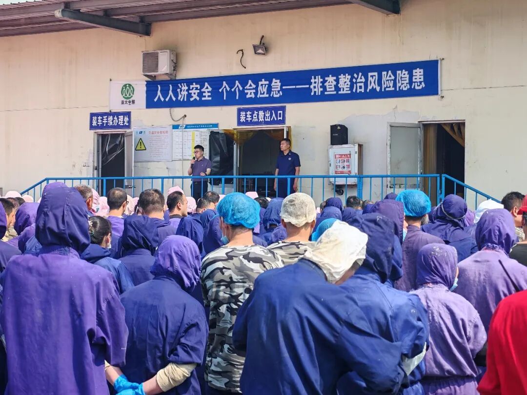 图片12.jpg