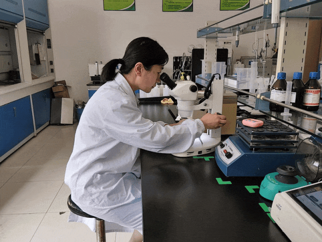 图片5.gif