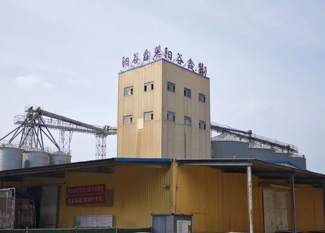 一年销量增长近10倍，阳谷鑫慧的突围之路