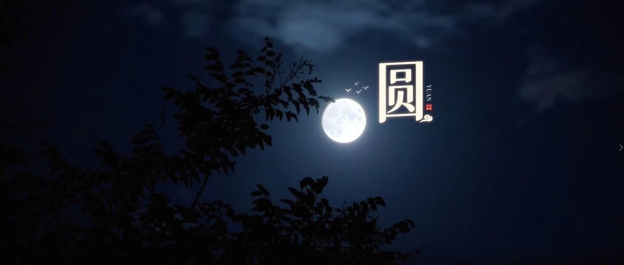 为什么，我们钟爱圆？