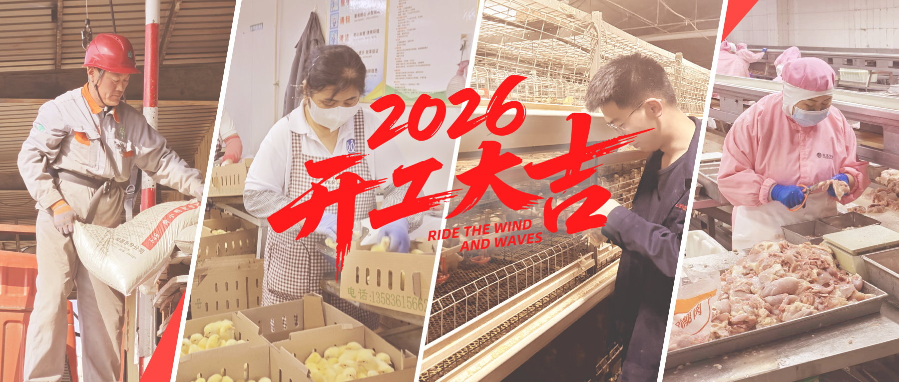 不负春景，马力全开！J9集团平台人乘势而上再启新程！