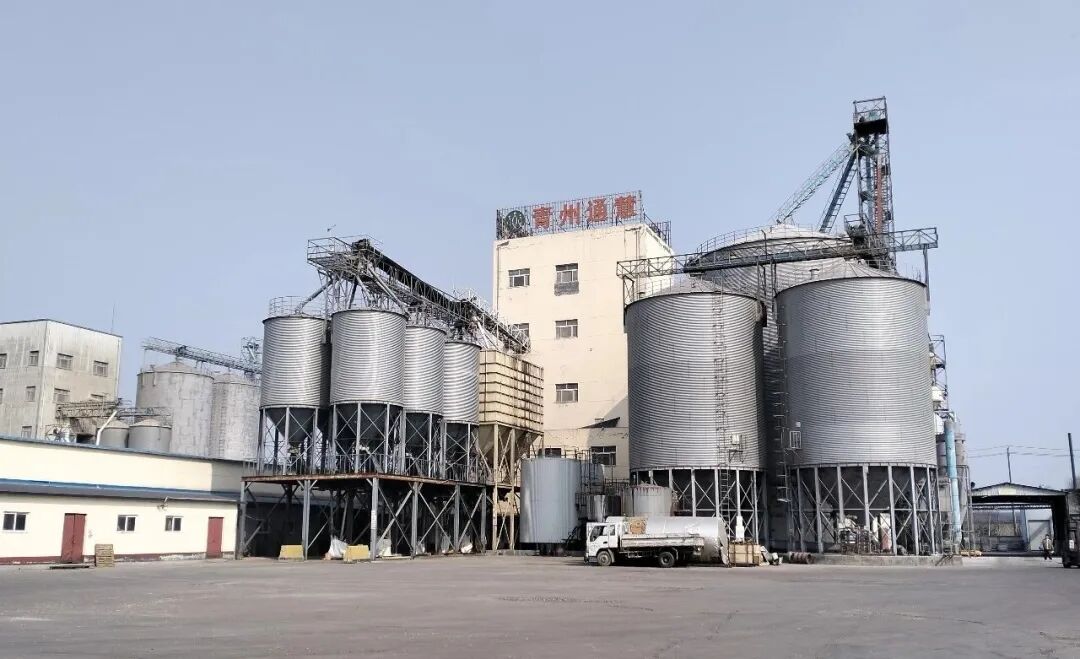 打造专业化猪料生产车间，青州通慧让每一粒饲料都安全可靠