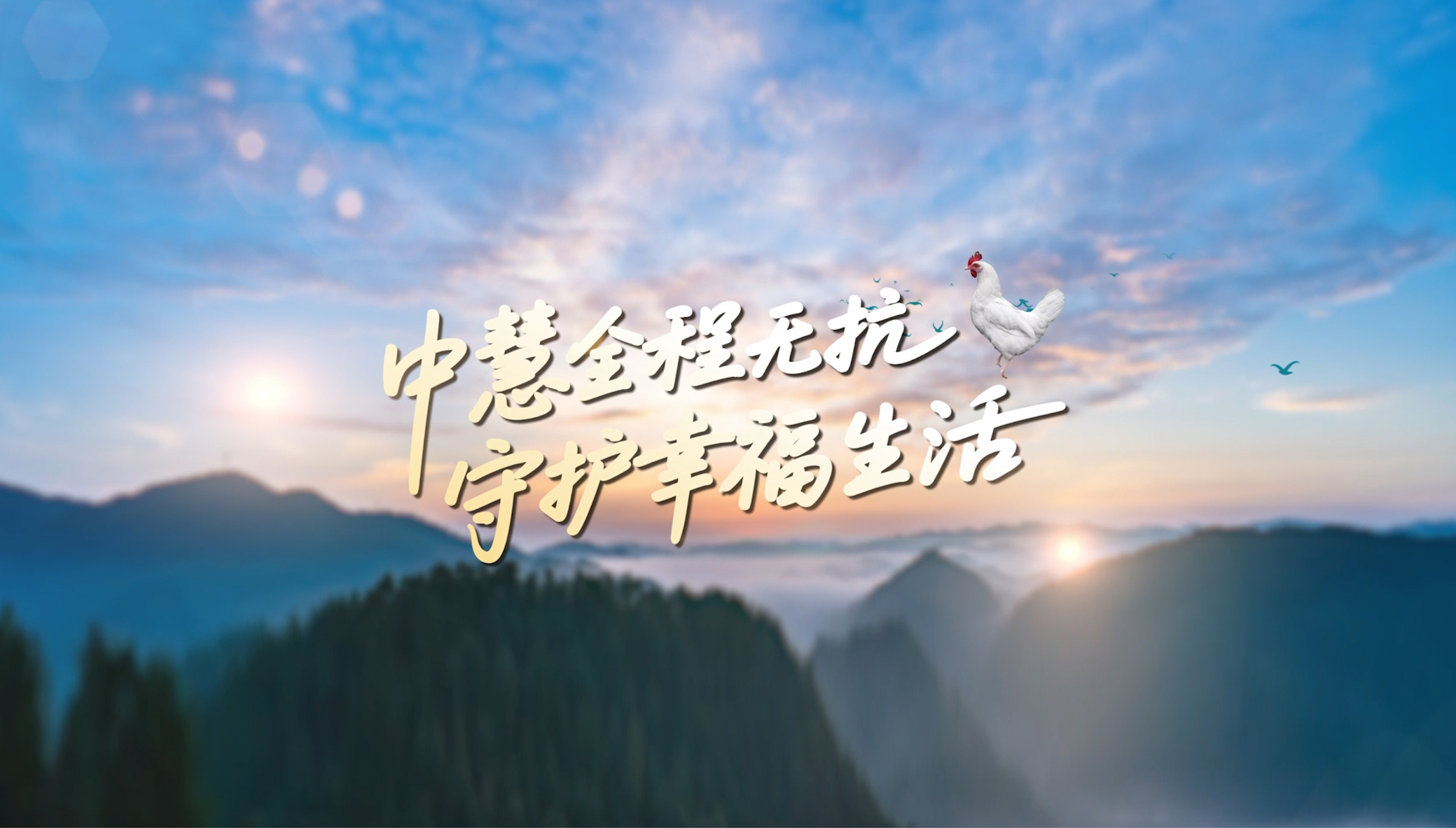 7790�ط�����ȫ���޿������������������ػ��Ҹ����ģ�