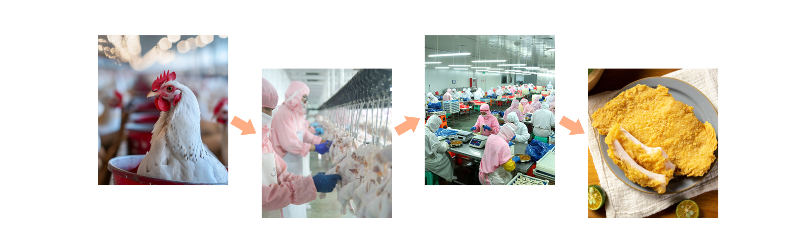 1759044829868058187.jpg Quality Management.jpg